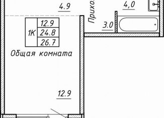 Продаю квартиру со свободной планировкой, 26.7 м2, Новосибирск