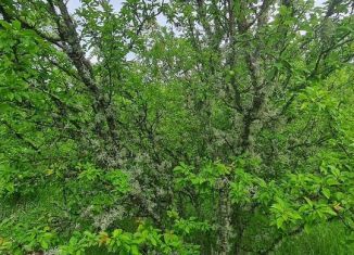 Продажа земельного участка, 540 сот., Горячий Ключ