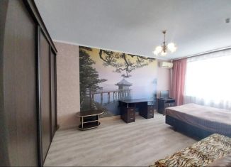 1-ком. квартира в аренду, 44 м2, Краснодар, улица Максима Горького, 30, Карасунский округ