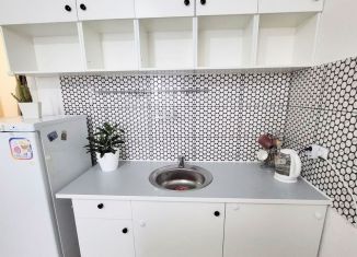 Продам квартиру студию, 23.1 м2, Санкт-Петербург, Парашютная улица, 42к1, муниципальный округ Юнтолово