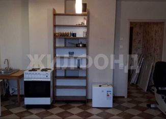 Сдается квартира студия, 33 м2, Новосибирск, улица В. Высоцкого, 41/5, Октябрьский район