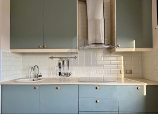 Сдается двухкомнатная квартира, 60 м2, Санкт-Петербург, проспект Маршала Блюхера, 9к3, Калининский район