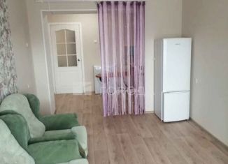 Сдам 1-ком. квартиру, 27 м2, Новосибирск, Нижегородская улица, 24, Октябрьский район