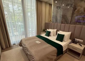 Продается квартира студия, 22 м2, Сочи, улица Кирова, 95, микрорайон Черемушки