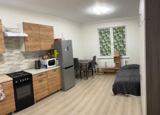 Сдаю 1-комнатную квартиру, 25 м2, Екатеринбург, Латвийская улица, 58/2, метро Ботаническая
