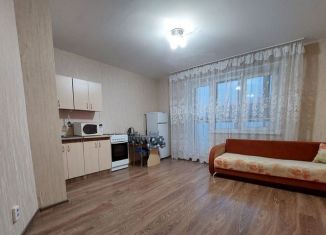 Квартира в аренду студия, 29 м2, Челябинск, улица Молодогвардейцев, 76