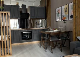 Сдается 1-ком. квартира, 39 м2, Санкт-Петербург, Арцеуловская аллея, 17, Приморский район