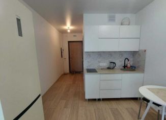 Продаю квартиру студию, 23 м2, Екатеринбург, улица Новостроя, 9, ЖК Фристайл