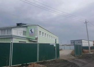 Сдача в аренду коттеджа, 1000 м2, Томская область, Профсоюзная улица, 2Ас5