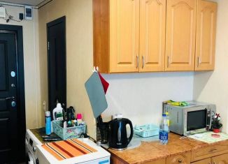 Квартира на продажу студия, 21.8 м2, Мурманск, улица Виктора Миронова, 10, Ленинский округ