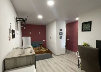 Продажа 1-ком. квартиры, 31.2 м2, Екатеринбург, метро Проспект Космонавтов, улица Баумана, 47