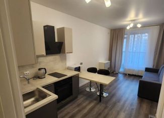 Сдаю в аренду квартиру студию, 27 м2, Санкт-Петербург, Дальневосточный проспект, 19к1, метро Проспект Большевиков
