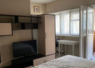 Сдаю квартиру студию, 23 м2, Екатеринбург, улица Малышева, 21/4, Ленинский район