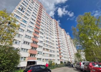 Продам 1-комнатную квартиру, 28 м2, Санкт-Петербург, проспект Энгельса, 113к2, метро Удельная