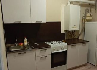 Продается однокомнатная квартира, 25.7 м2, Кстово, улица Котовского, 14