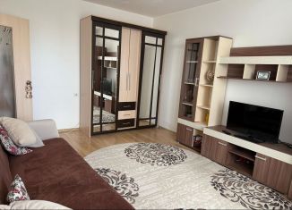 1-комнатная квартира в аренду, 40 м2, Екатеринбург, улица Анатолия Мехренцева, 11