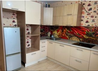 Аренда 1-ком. квартиры, 37 м2, Новосибирск, Спортивная улица, 19, метро Площадь Маркса