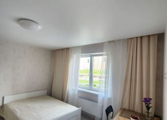 Сдача в аренду квартиры студии, 24.3 м2, Санкт-Петербург, проспект Королёва, Приморский район