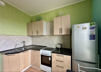 Сдам в аренду 1-ком. квартиру, 37 м2, Санкт-Петербург, улица Лётчика Пилютова, 44к2, метро Проспект Ветеранов