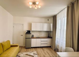 Сдается квартира студия, 20 м2, Санкт-Петербург, проспект Крузенштерна, 4, метро Приморская