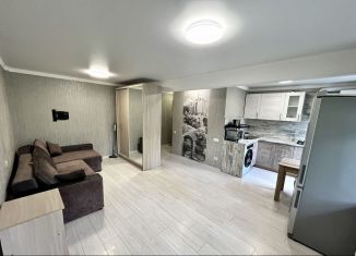 Сдается в аренду 1-комнатная квартира, 35 м2, Краснодар, Красная улица, 194