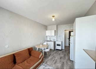 Квартира в аренду студия, 21 м2, Новосибирск, улица Дмитрия Шмонина, 6, Кировский район