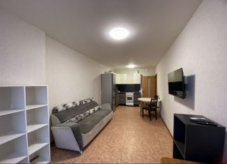 Сдается в аренду 2-ком. квартира, 47 м2, Пермь, улица Красные Казармы, 69