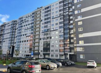 Продаю 2-комнатную квартиру, 52 м2, Санкт-Петербург, Северный проспект, 123к1, муниципальный округ Полюстрово