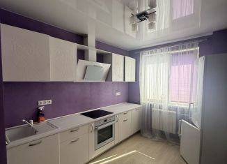 Сдается квартира студия, 41 м2, деревня Бородино, Варшавское шоссе, 71, ЖК Европа