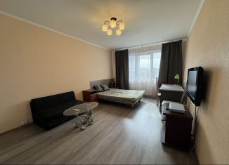 Сдам однокомнатную квартиру, 40 м2, Санкт-Петербург, Афанасьевская улица, 6к1, муниципальный округ Коломяги