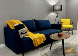 Сдается в аренду 2-комнатная квартира, 45 м2, Пермь, улица Белинского, 40, Свердловский район