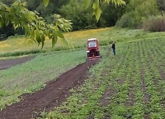 Продается участок, 24 сот., село Дьяконово, улица Красной Звезды