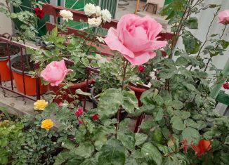 Сдача в аренду дома, 45 м2, Крым, Русская улица, 61