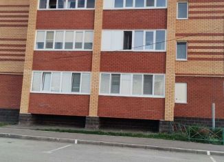 Продается однокомнатная квартира, 3664 м2, село Дмитриевка, Посадская улица, 1