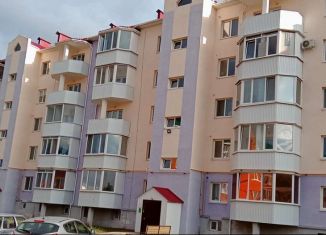 Продажа 2-комнатной квартиры, 46 м2, Бавлы, улица Зиновьева, 6