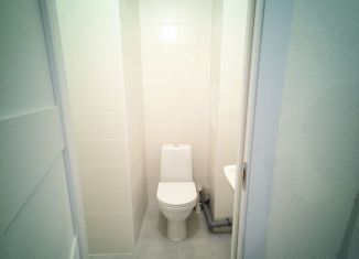 Двухкомнатная квартира на продажу, 55.7 м2, Мурино, улица Шоссе в Лаврики, 70к2, ЖК Северный