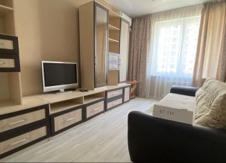 Сдается квартира студия, 27 м2, Краснодарский край, Анапское шоссе, 24к8