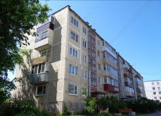 Продается двухкомнатная квартира, 43.6 м2, деревня Белогорка, Институтская улица, 12