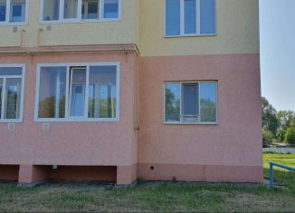 1-комнатная квартира на продажу, 34 м2, село Верхнеяркеево, Коммунистическая улица