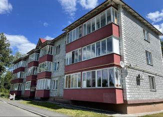 Однокомнатная квартира на продажу, 29 м2, Егорьевск, Нечаевский переулок, 3