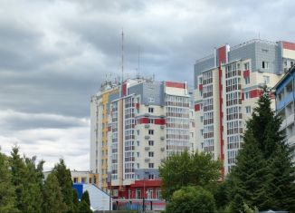 Продажа однокомнатной квартиры, 45 м2, Йошкар-Ола, улица Карла Маркса, 109Г, микрорайон Ширяйково