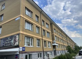 Продажа двухкомнатной квартиры, 56.6 м2, деревня Кабицыно, микрорайон Молодёжный, 6