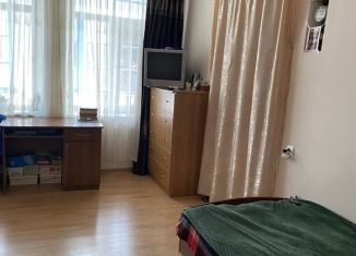 1-комнатная квартира на продажу, 22 м2, Владикавказ, проспект Мира, 30, Иристонский муниципальный округ