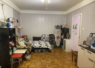 2-комнатная квартира на продажу, 45.1 м2, Санкт-Петербург, проспект Народного Ополчения, 163, муниципальный округ Ульянка