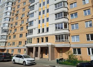 Продажа квартиры студии, 25 м2, Москва, 6-я Радиальная улица, 3к7, ЖК Царицыно