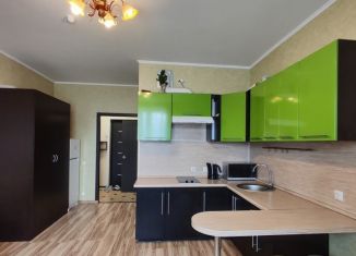 Квартира на продажу студия, 26.3 м2, Санкт-Петербург, Русановская улица, 19к2, ЖК Ласточкино Гнездо