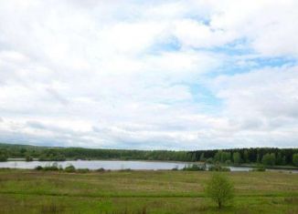 Деревня подосинки. Подосинки (посёлок, Дмитровский городской округ). Деревня Подосинки Дмитровский. Посёлок Подосинки Дмитровский район Московская область фото.