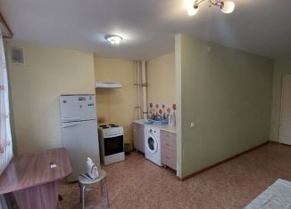 Квартира в аренду студия, 30 м2, Ижевск, улица Холмогорова, 85, ЖК Виктория Парк