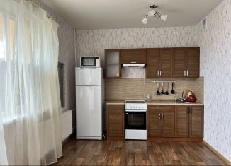 Продается квартира студия, 28 м2, Санкт-Петербург, ЖК Каменка, Парашютная улица, 58