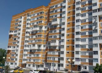 Продается квартира студия, 16.8 м2, посёлок Марьино, улица Харлампиева, 46